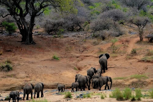 lake nakuru tours