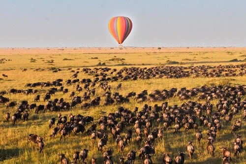 hot air balloon safaris