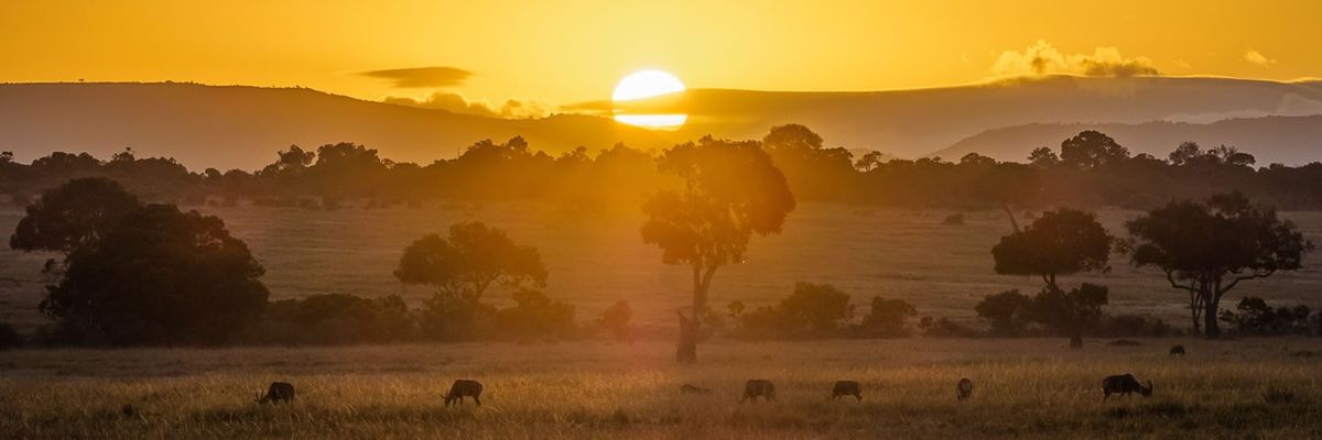 African savannah sunset over the Masai Mara, Kenya